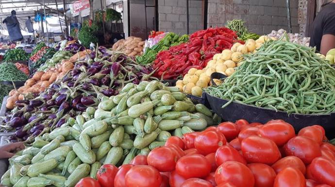 نقابة تجار الخضر والفاكهة تستنكر تهريب المخدرات