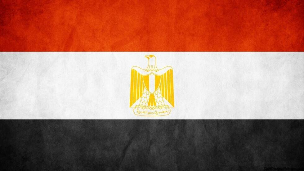 مصر.. رأس ماشية وكابل كهرباء كادا يتسببان في كارثة