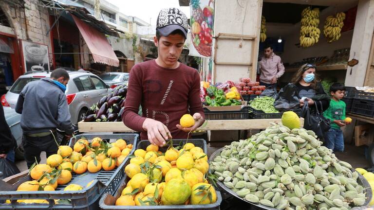 الكويت تسمح باستيراد شحنات الخضار والفواكه اللبنانية بحرا وجوا فقط