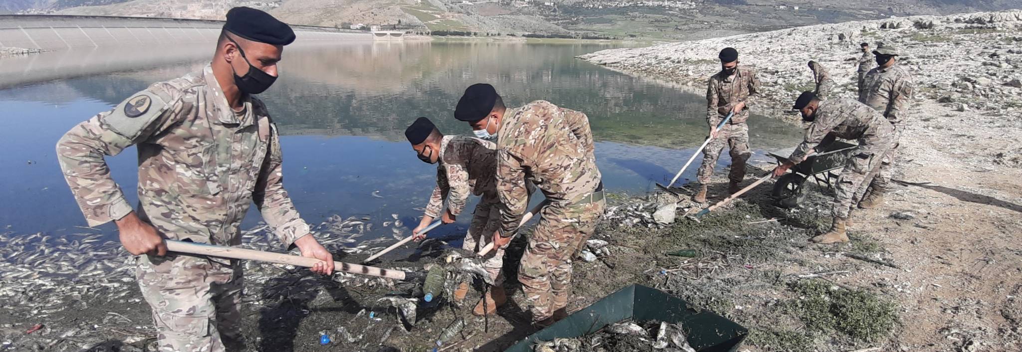 بالصور... الجيش يواصل مشاركته في تنظيف ضفة بحيرة القرعون