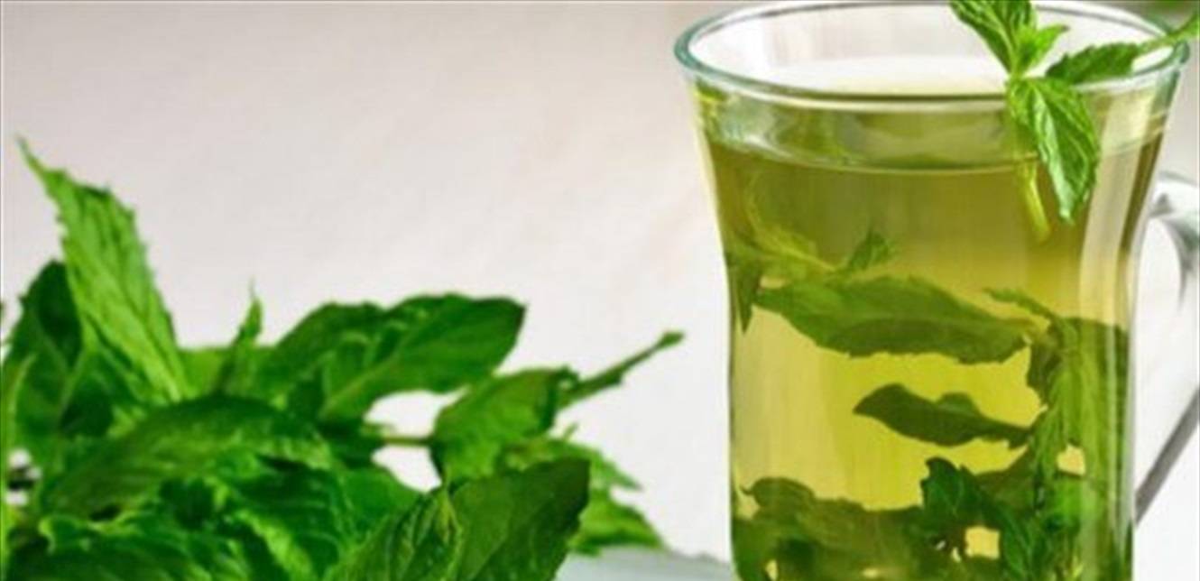 للنعناع فوائد كثيرة... اليكم أبرزها