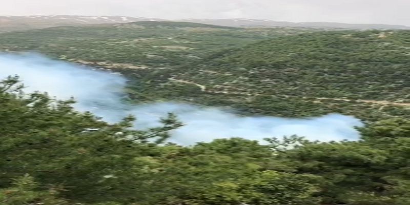 حريق في الضنية ونداءات إستغاثة