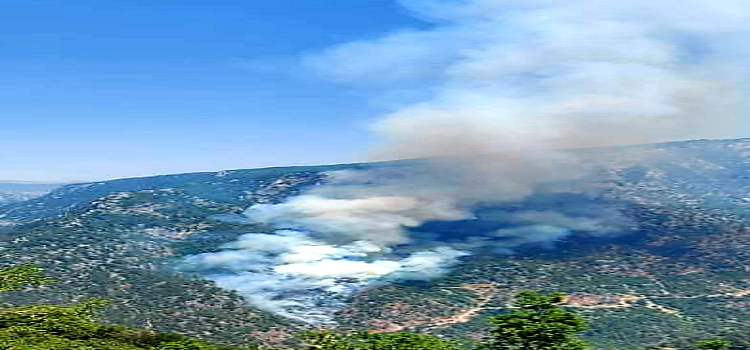 حريق كبير في خراج حرار العكارية والاهالي يناشدون الجيش التدخل