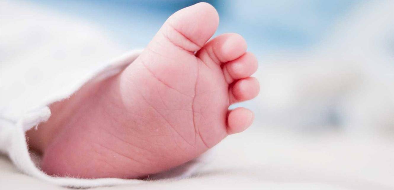 حادثة مروّعة.. فئران تقضم أصابع قدمَيْ مولود في المستشفى!