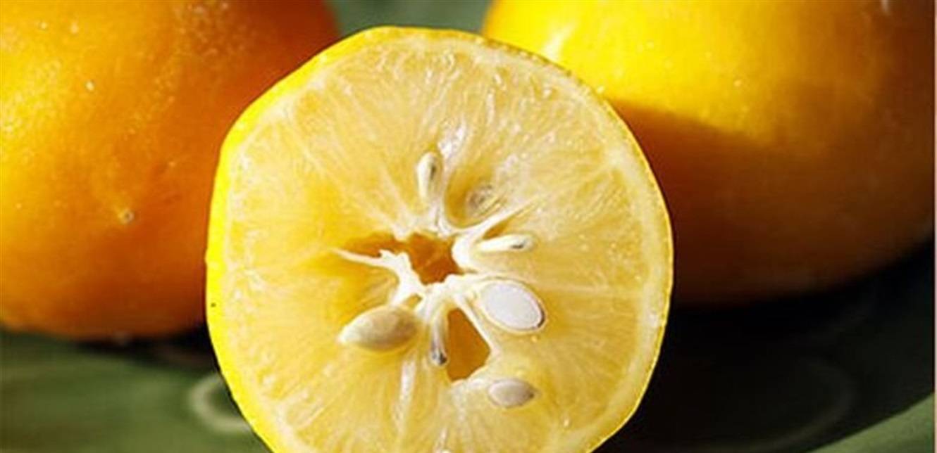 فوائد بذور الليمون السحرية
