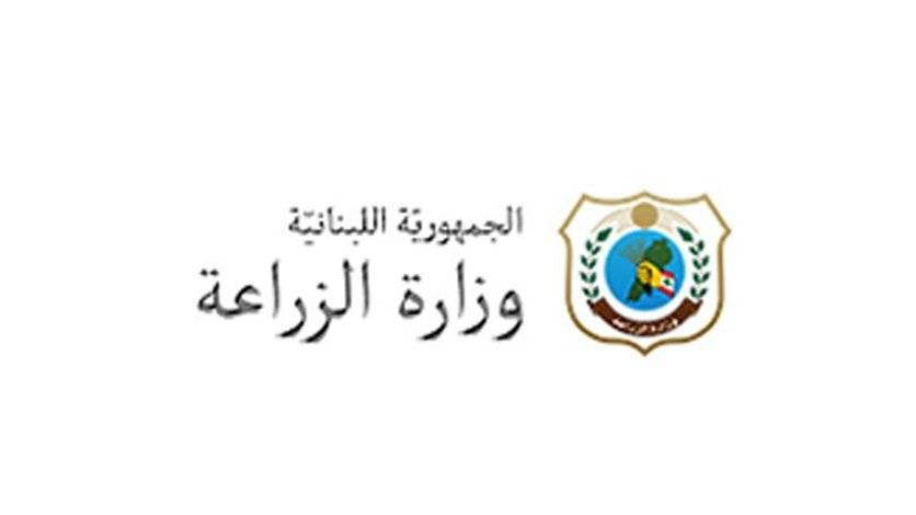 وزارة الزراعة توزع عبر البلديات مصائد وفرمنات لمراقبة تفشي حشرة جادوب السنديان