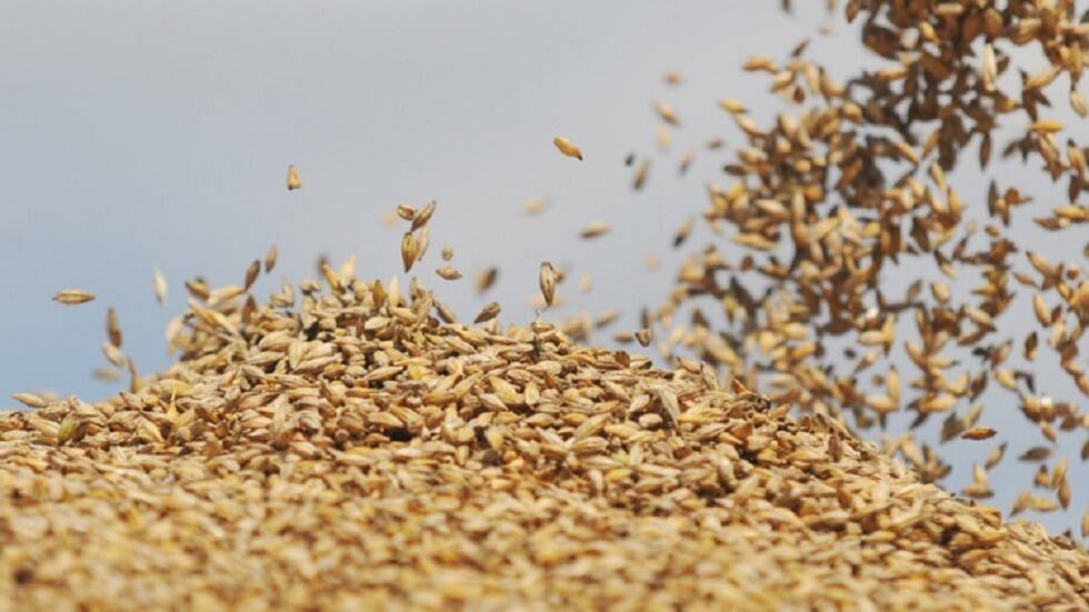 إيران تسعى لتصبح مركزا إقليميا لتوزيع الحبوب الروسية