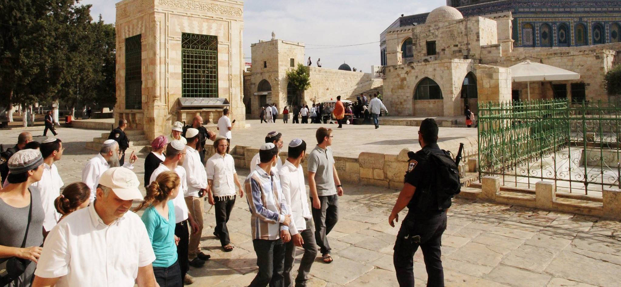 مستوطنون يقتحمون باحات الأقصى وسلطات الاحتلال تجرف أراض زراعية