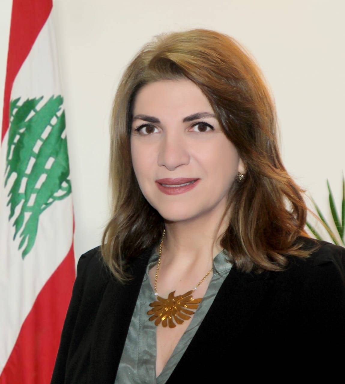 نجم في الكلمة الافتتاحية لمؤتمر المخفيين قسرا: سأواكب هذه القضية من أي موقع كنت فيه