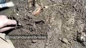 العثور على هيكل عظمي لطفل يعود تاريخه إلى 12 ألف عام في ايران