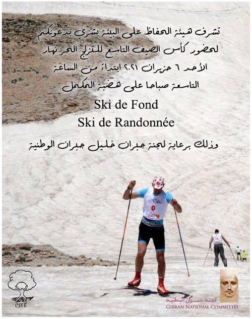 كأس الصيف للتزلج الحر