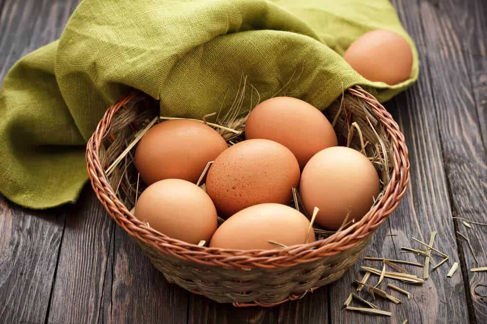 البيض والجوز والدهون الصحية قد تساعد في شفاء مرضى كورونا