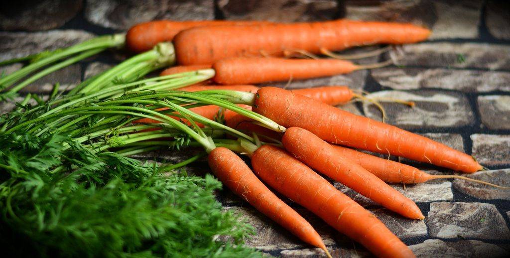 لهذه الاسباب... تناول الجزر