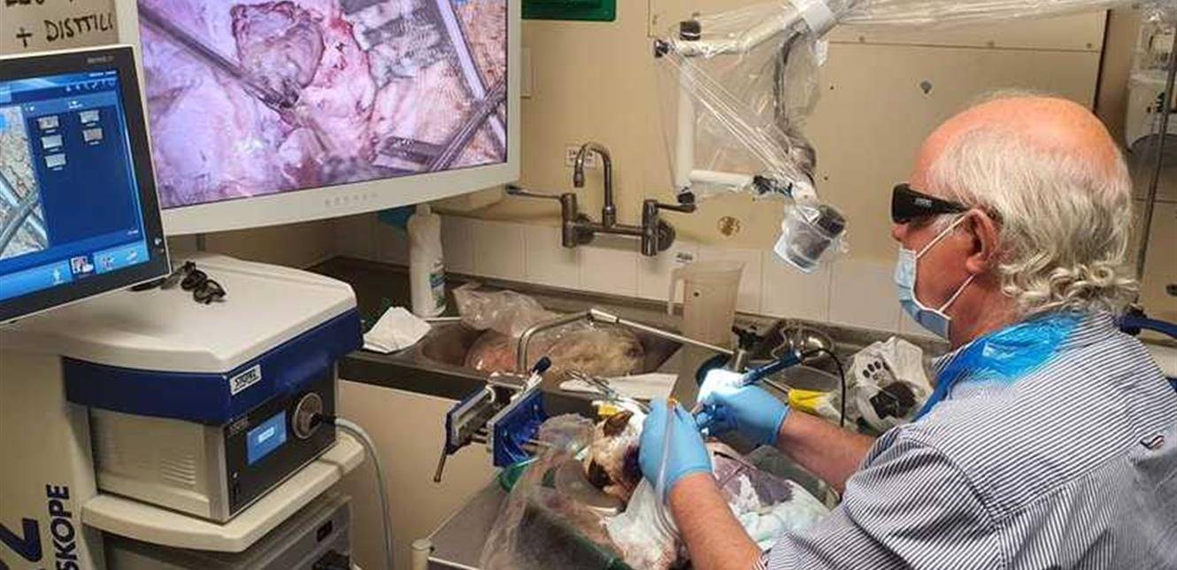 سابقة طبية مهمة لمرضى السرطان... اختبار الدم يكشف فعالية العلاج بساعات