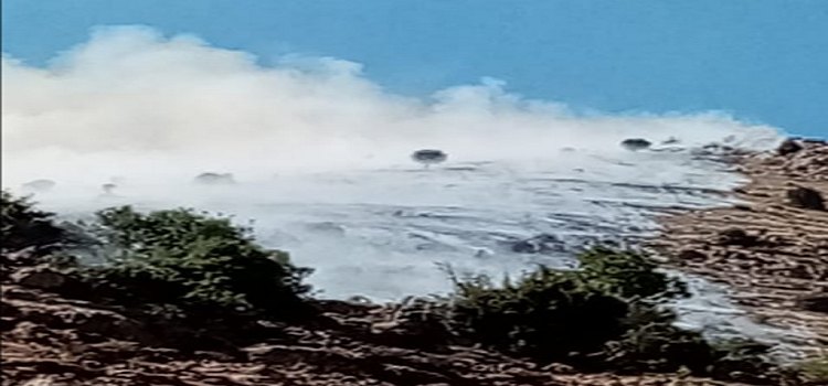 حريق بين بلدتي نبحا والقدام والعمل جار لإخماده