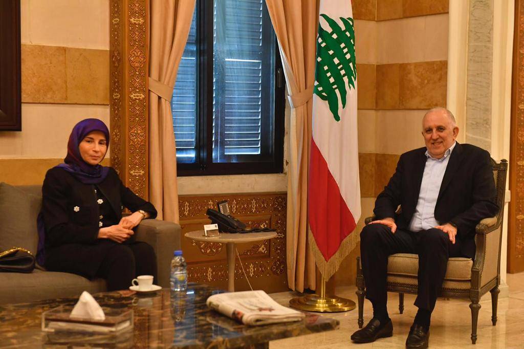 فهمي استقبل النائبة عز الدين