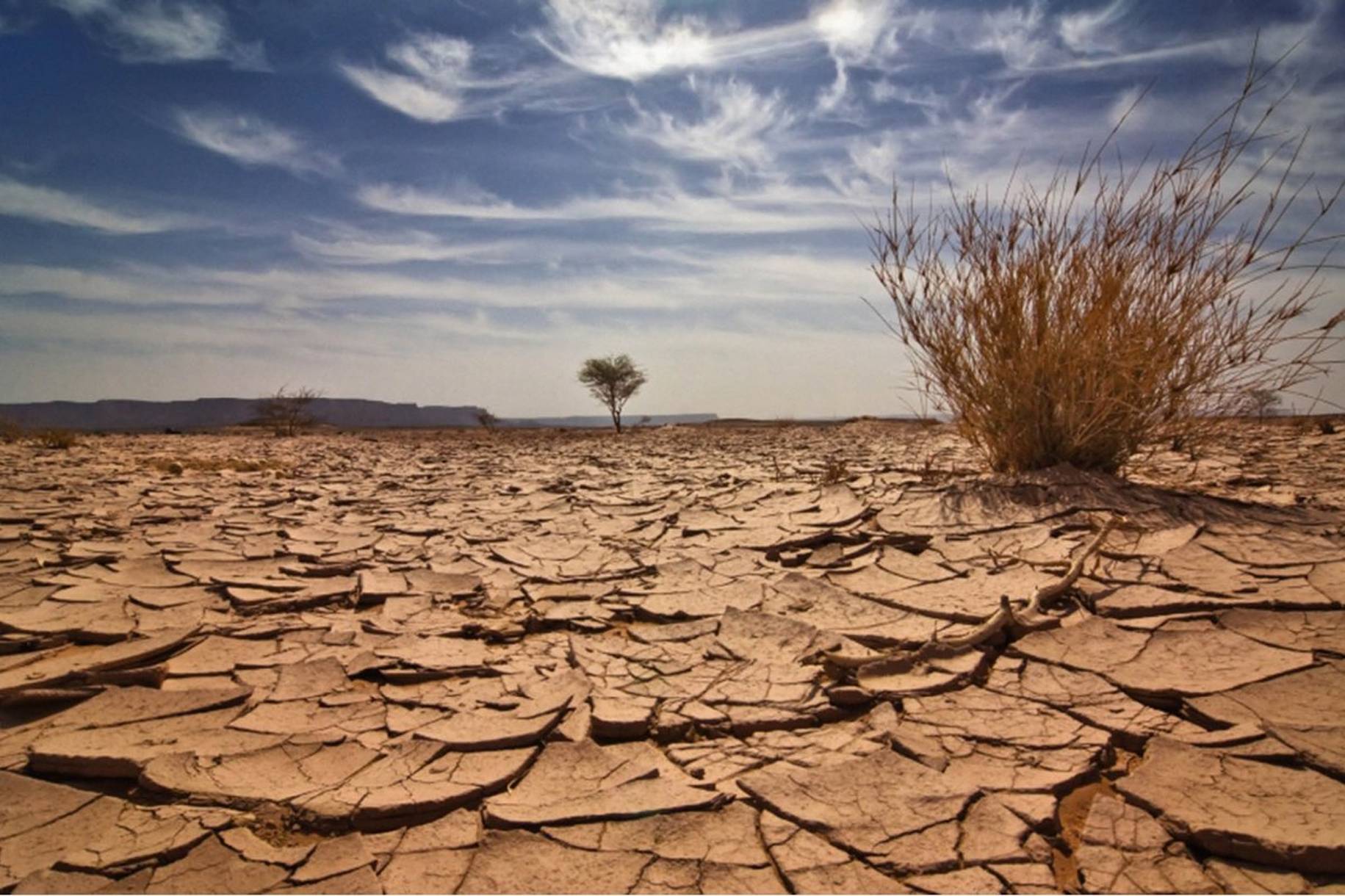الأمم المتحدة تحذر من خطر كبير على البشرية
