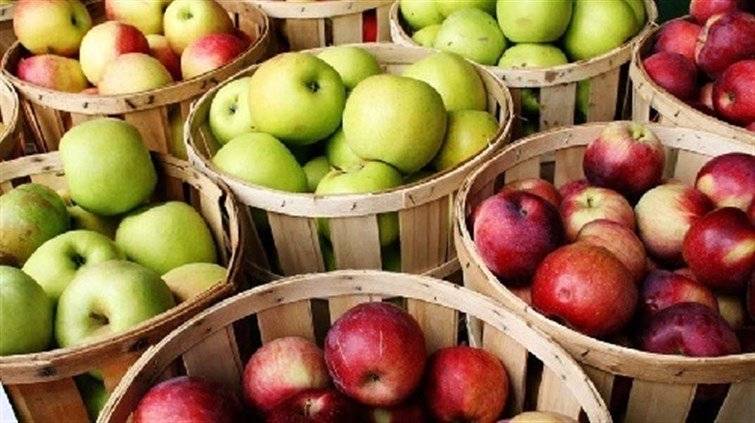 الجمعية التعاونية لانتاج التفاح ثمنت هبة كاريتاس