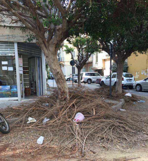 المجلس الأرثوذكسي: فوضى عارمة في بيروت