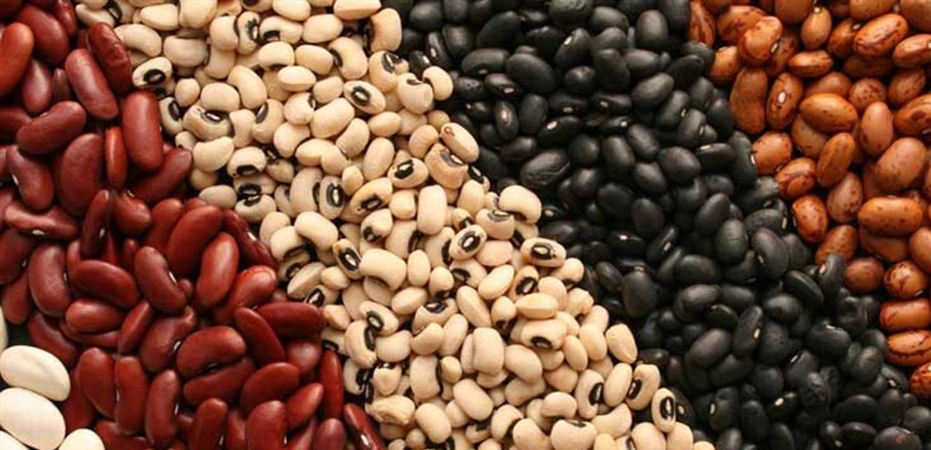 بينها الوقاية من الشيب.. لهذه الأسباب تناولوا الفاصولياء على ألوانها!