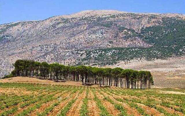 نقابة العمال الزراعيين: من لا يستطيع مواجهة الأزمة فليغادر بشرف