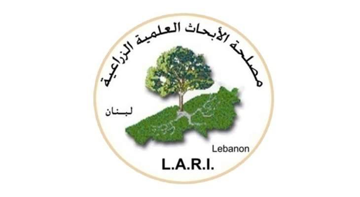 الأبحاث الزراعية: مختبراتنا لم ولن تتوقّف عن العمل