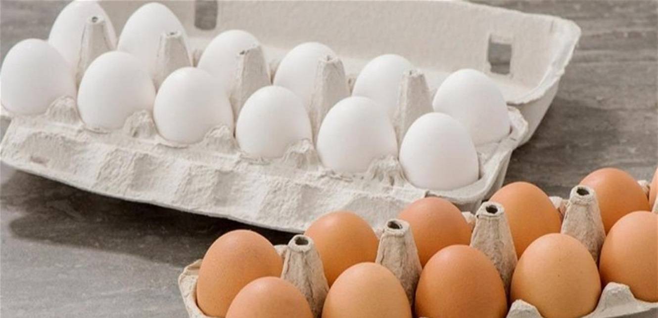 بين البيض الأبيض والبني... أيهما نختار؟