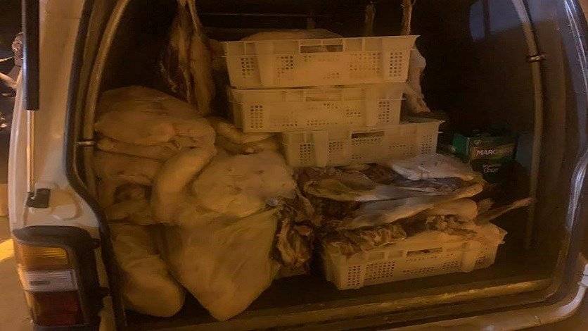 فضيحة لحوم فاسدة في اسواق طرابلس