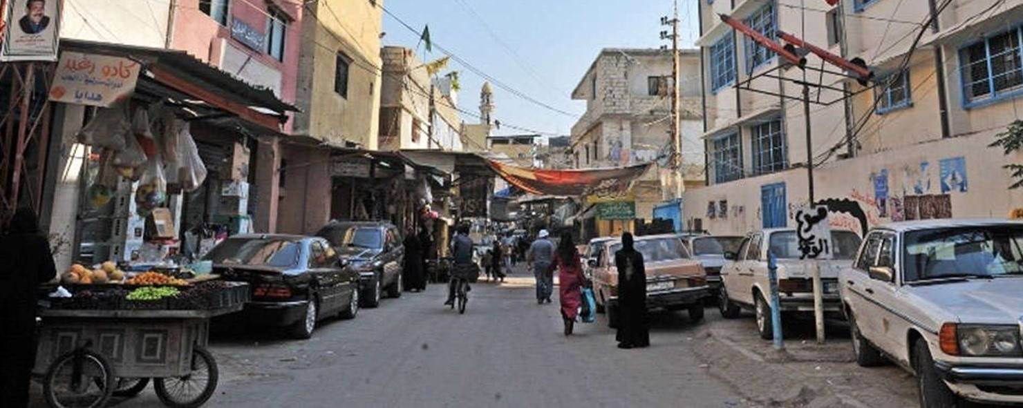 يوم صحي مجاني في المية ومية وعين الحلوة