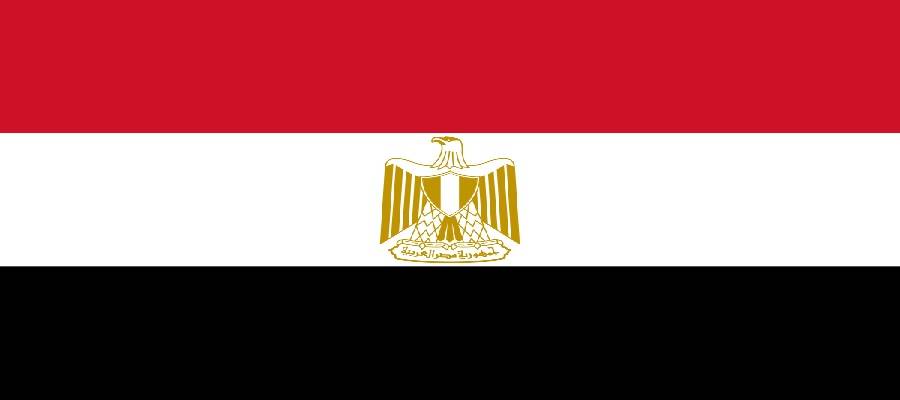 مصر.. مرحلة جديدة من مواجهة الإخوان بضرب 