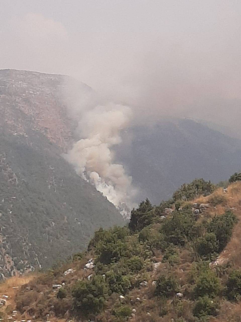 حريق كبير في الغابات المحيطة بـبحيرات عيون السمك