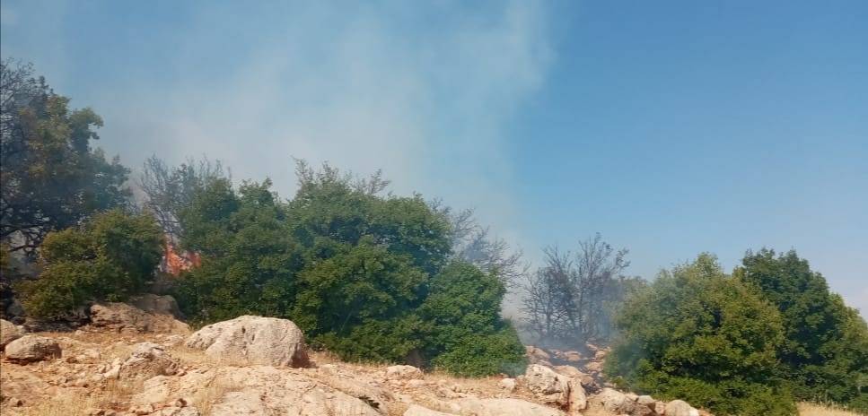 حريق في أحراج الجوبانية وبرقا