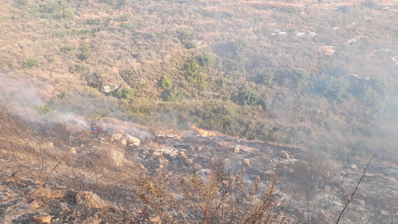 اخماد حريق أعشاب في المشرف