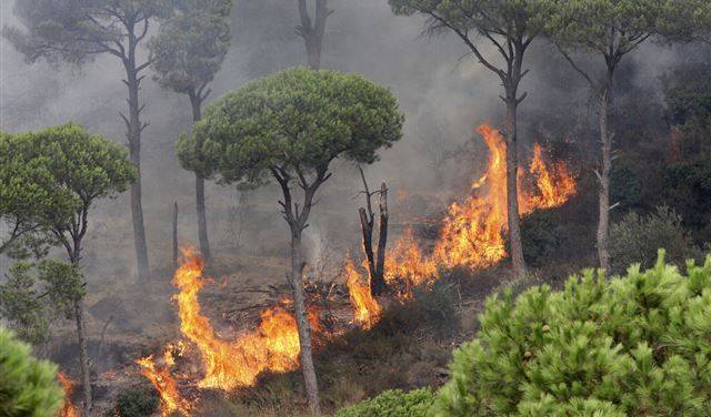 الدفاع المدني: للتقيد بالإرشادات تفاديا للحرائق والحوادث