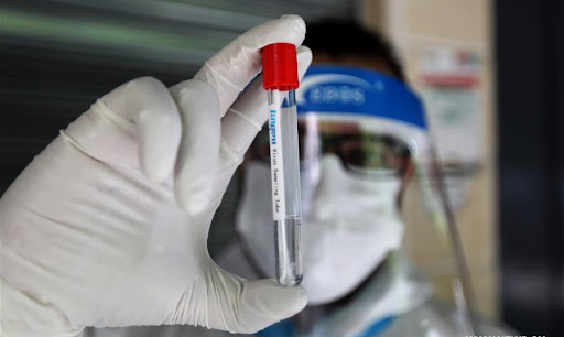 فحوص PCR مجانية غدا في صيدا لطلاب الشهادة الرسمية