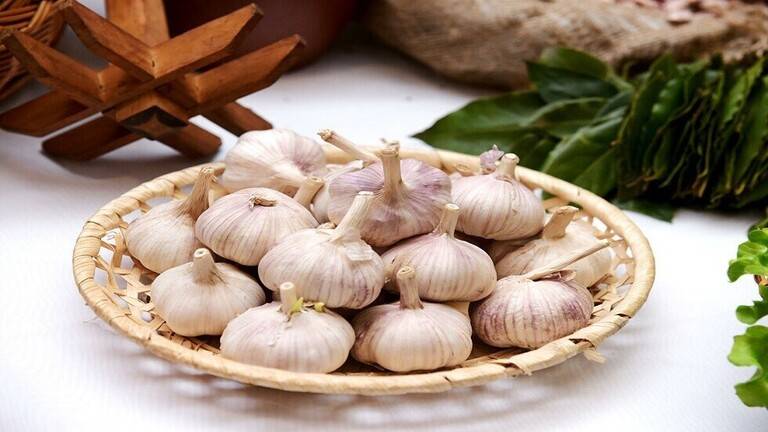 من تقوية جهاز المناعة إلى خفض الكوليسترول .. 5 فوائد صحية رئيسية للثوم