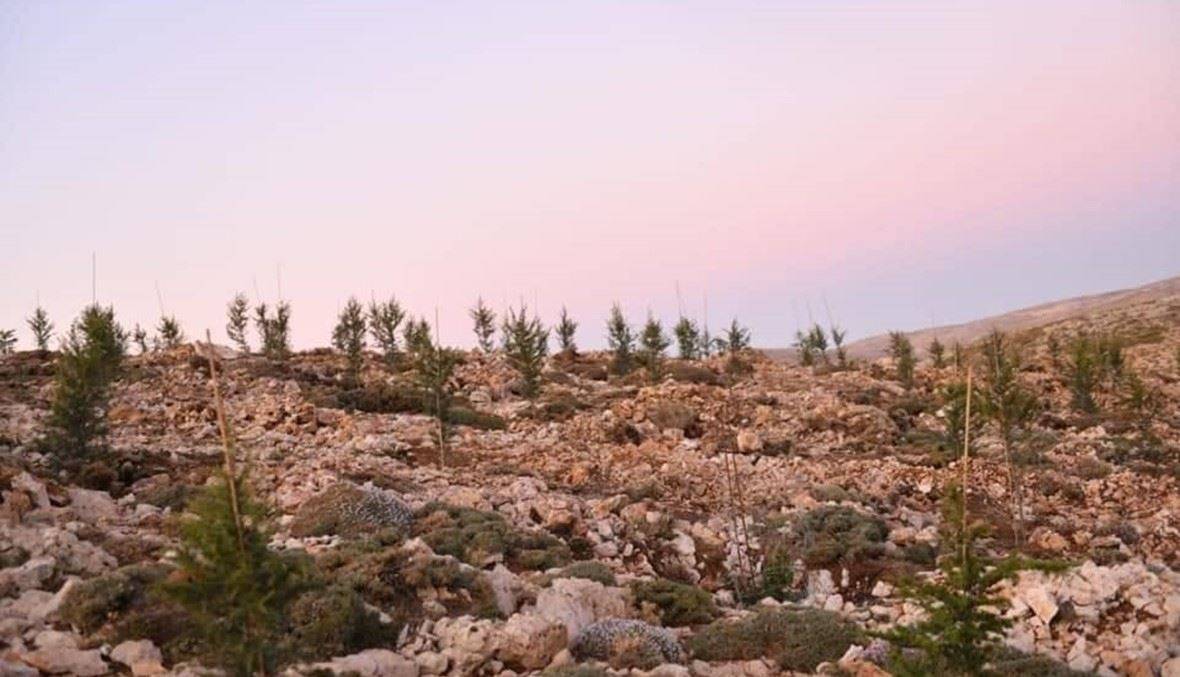 قوى الأمن: تفجير قذائف في حقل عيون السيمان