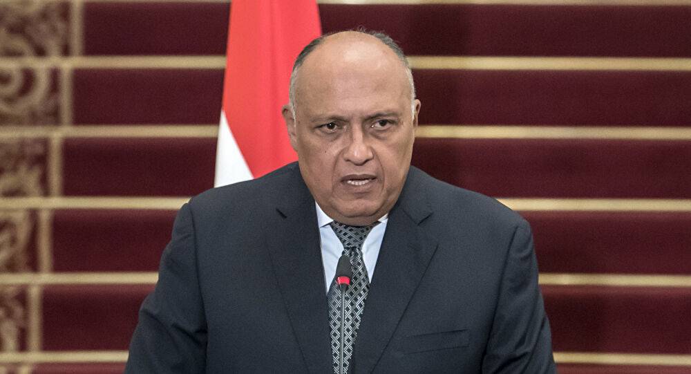 شكري: نحاول مساعدة لبنان في الخروج من أزمته