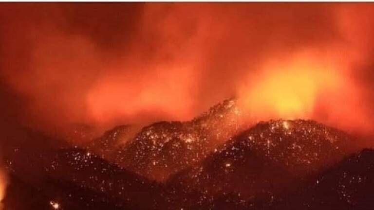 مسؤول جزائري: الحرائق شيطانية ومفتعلة