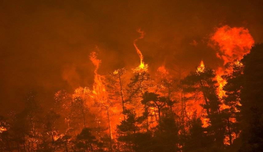 حرائق الغابات تجبر اليونانيين على النوم عند شاطئ جزيرة إيفيا