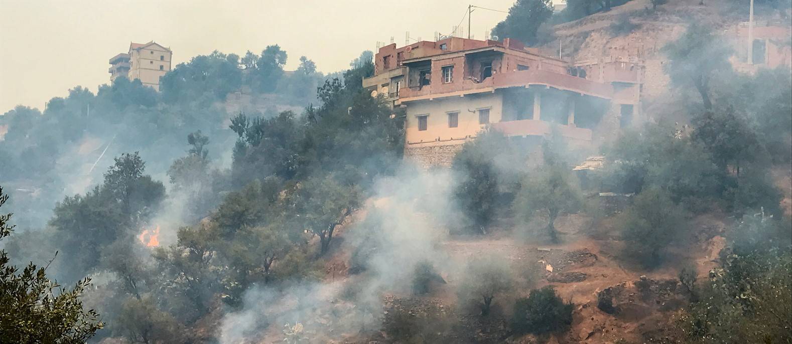الجزائر: الحرائق تؤدي الى كارثة صحية