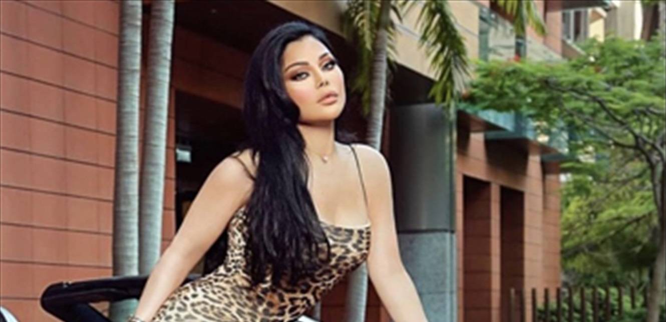 ماذا سيجمع عمرو دياب وهيفا وهبي؟