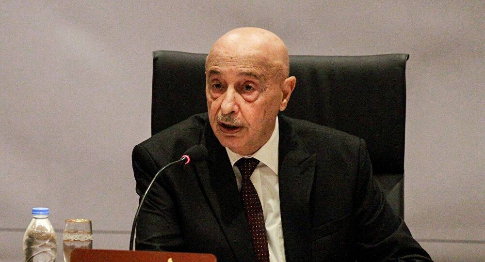 صالح: الدور الروسي المطلوب هو دعم الانتخابات الرئاسية والبرلمانية في ليبيا