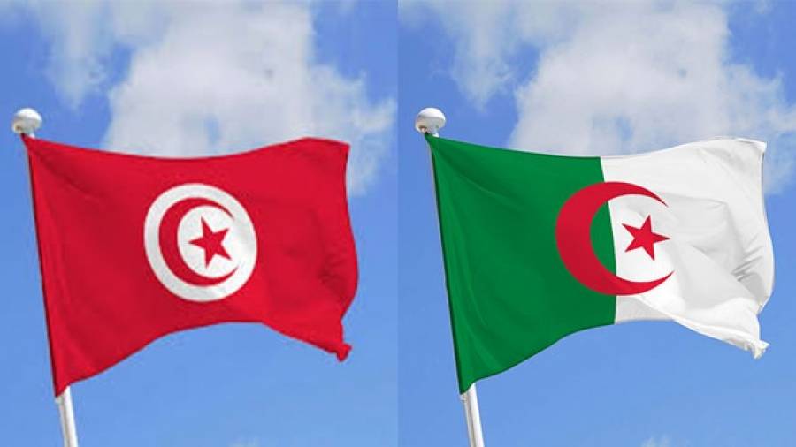 دعوتان تونسية وجزائرية لرفض منح "اسرائيل" صفة مراقب
