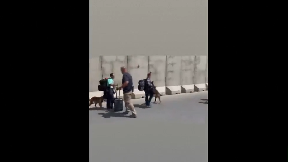 عملية إجلاء كلاب عسكرية أميركية من مطار كابل