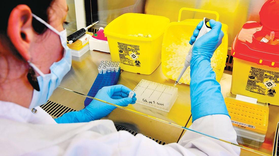 فرنسا: سوق سوداء لنتائج فحوصات الـ PCR