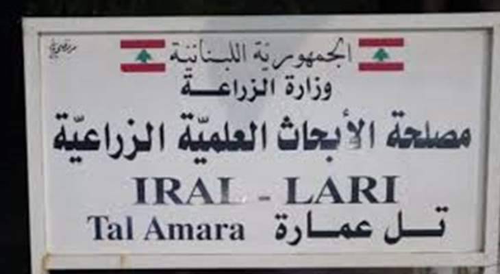 تنبيه من مصلحة الأبحاث الزراعيّة: العودة للريّ بالمياه الآسنة