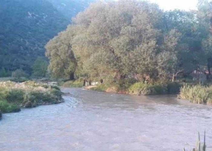 نفوق عدد كبير من الاسماك عند مجرى النهر البارد