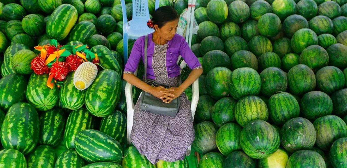 خبير تغذية يحذر من الأماكن السامة في البطيخ