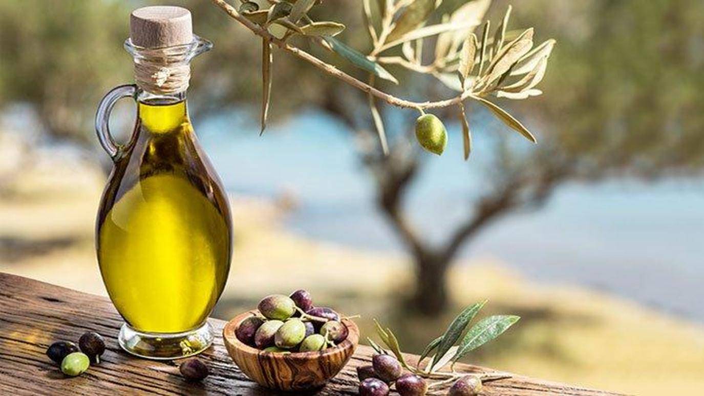 فقدان المازوت يهدّد معاصر الزيتون.. بكم ستباع صفيحة الزيت؟